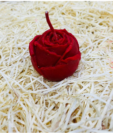 screenshot 2025 12 23 121106