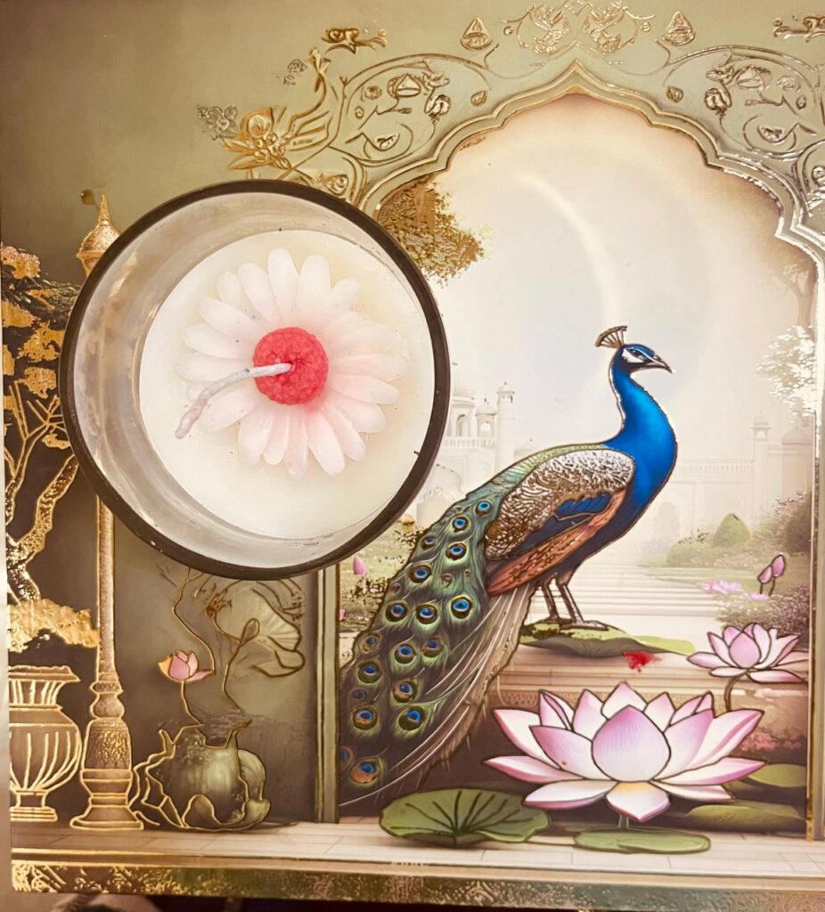 whatsapp image 2026 02 12 at 00.07.25 (5)